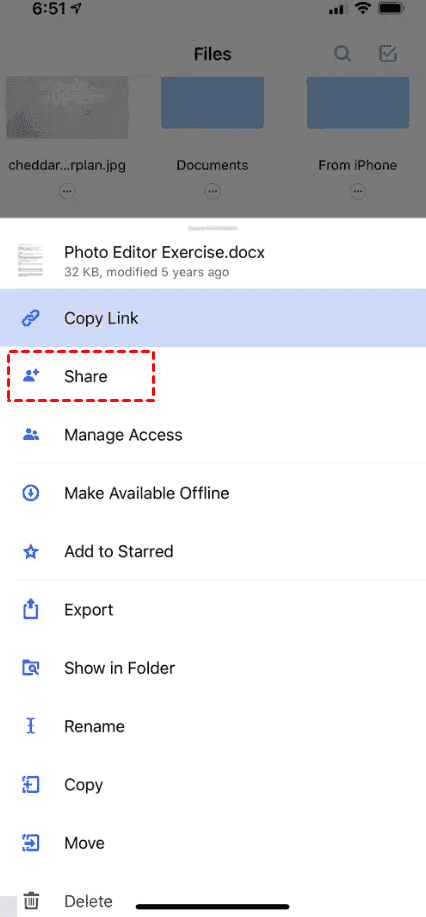 Dropbox Share or Copy Link