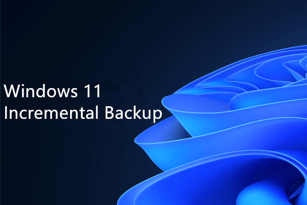 Windows 11 Incremental Backup