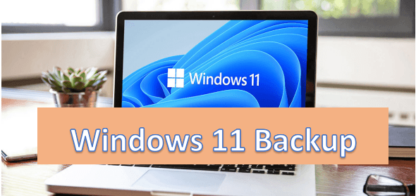 Windows11 Backup