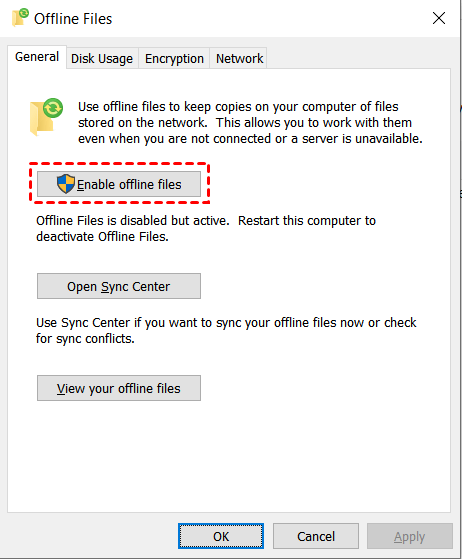 Enable Offline Files